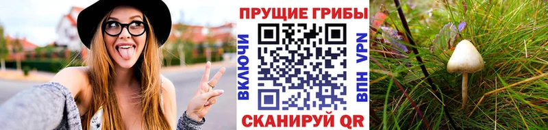 Псилоцибиновые грибы ЛСД  OMG ссылки  Борисоглебск 
