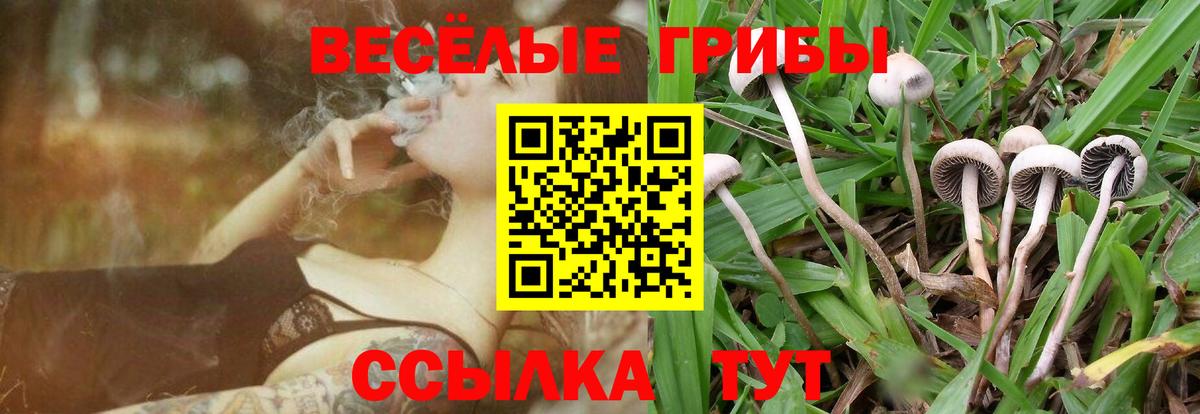 Галлюциногенные грибы GOLDEN TEACHER  Борисоглебск  Псилоцибиновые грибы мицелий 